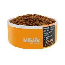 Stainless Steel Medium Double Wall Dog Bowl with Anti Skid Base - Mango Tango