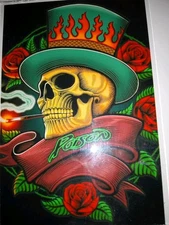 Poison Painted Glass Style  Carnival Prize Mirror 12x18