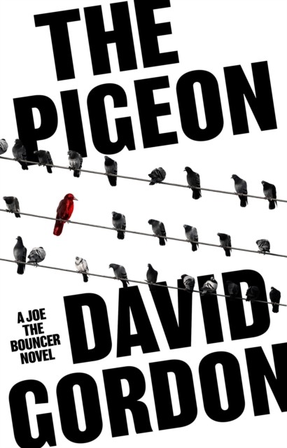 The Pigeon by David Gordon (Paperback Book)