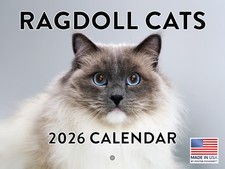 Ragdoll Cat Calendar 2026 Monthly Wall Calender 12 Month