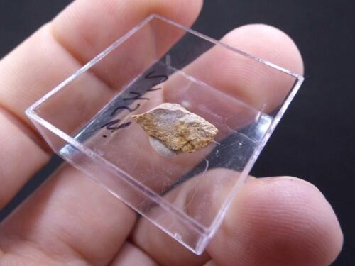 FD MINERALES: Mineral exclusivo de EUXENITA (Y) - Ankisabe - Madagascar - er 421 - Imagen 3 de 6