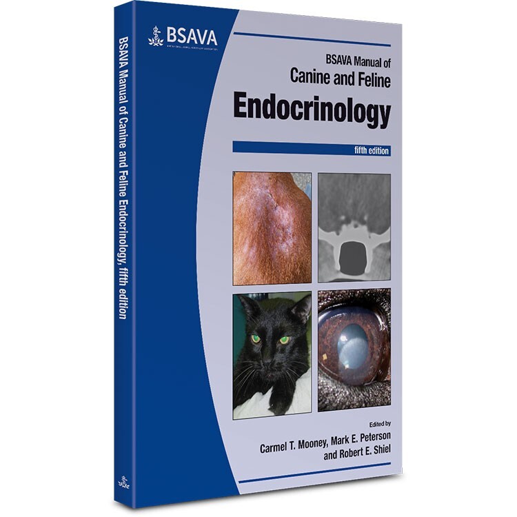 Cats Dog Endocrinologist Near Me Best Pet Clinic In Hyderabad