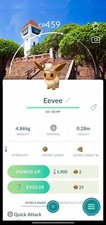 Pokemon Non Shiny Eevee Explorer Hat City Safari Tainan Trade Go