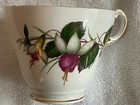 Regency Fuchsia Floral Bone China Teacup & Saucer — photo 2