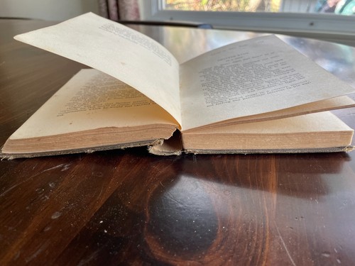 Antique Early 1900s Hardcover Book — Adrift in New York — Horatio Alger - Picture 12 of 14