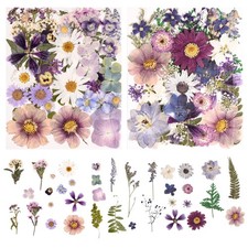 80PCS Natural Color Pressed Dried Flowers Dry Leaves with Tweezers - Real Pre...