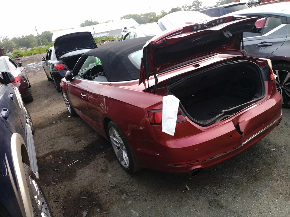 2019 Audi A5 Red Seat Belt OEM 8W7857706LV04 Used 97k Miles Foto 4 de 4