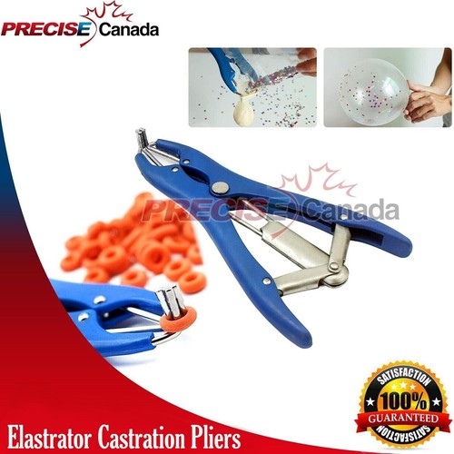 Alicate de castración para ganado + 100 anillos de castración para cabras corderos terneros - Imagen 4 de 4