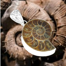 Collier Pendentif - Fossile En