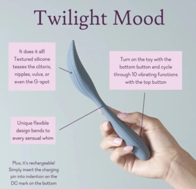 Twilight Mood / Bend The Rules- Pure Romance- Bendable Massager- new and  sealed! | eBay