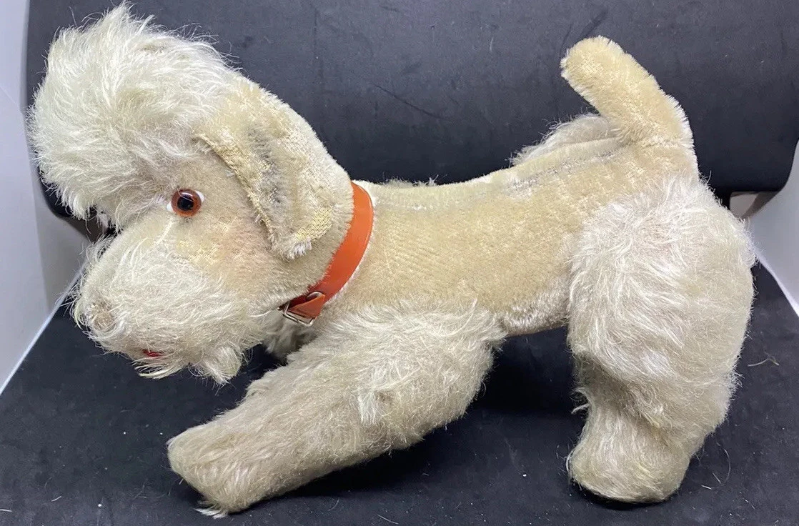 Toy poodle top chest size