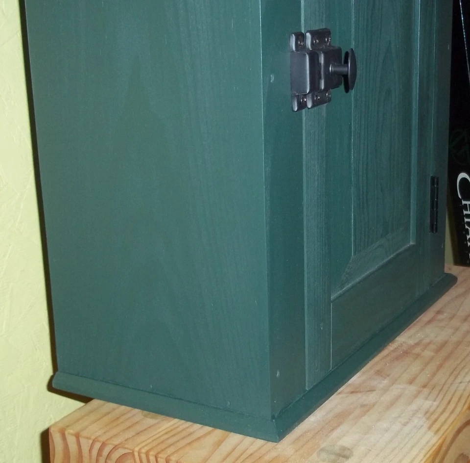 Mueble colgante panel elevado estilo coctelera, pino, pintado verde Foto 4 de 4