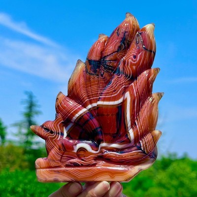 1.32LB Natural Red Orange Sardonyx Agate Carved Nine-tailed Fox Crystal Healing