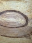 Bild 4 von 8