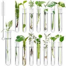 15Pcs Clear Test Tubes for Plant, 20ml Plant Propagation Tube with Brush, Pla...