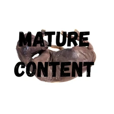 Lamb fetus baby Sheep Wet Specimen oddities curiosity preserved collectible gift