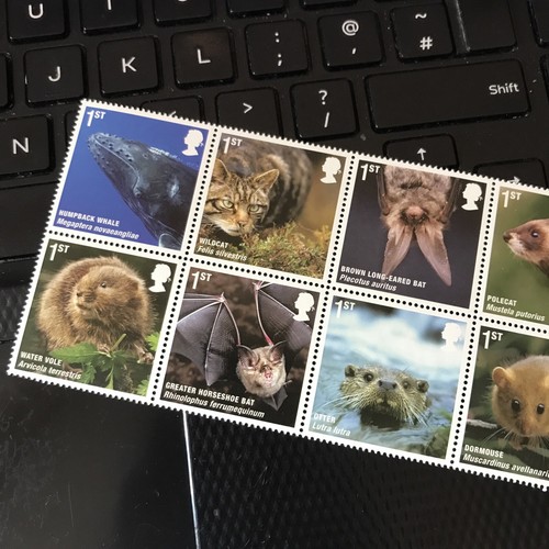 GB STAMPS 2010 ACTION FOR BRITISH MAMMALS MINT SET OF 10 MNH F\V £16.50 - 第 2/3 張圖片