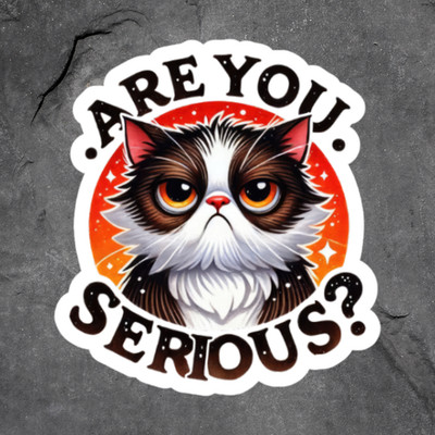 Cat Sticker Vinyl Decal Grumpy Are You Serious Funny Angry Kitty Meme