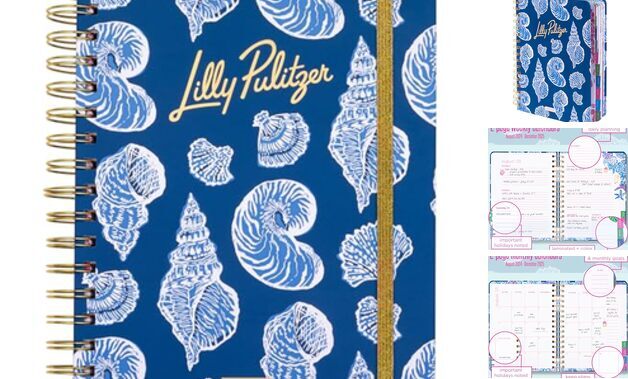 Large Planner August 2024 - December 2025, Weekly Agenda Shell of a Good Time