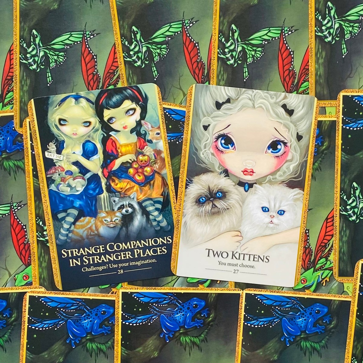 ORACLE OF THE SHAPESHIFTERS オラクルカード ORACLE OF THE SHAPESHIFTERS オラクルカード Oracle of the