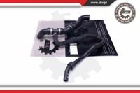 Esen SKV KüHlerschlauch Ladeluftschlauch KüHler FüR Seat Ibiza IV 6J5
