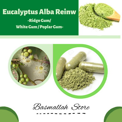 CAPSULES Avocado Leaves Butter Fruit Avocado Pear Alligator Pear Persea American