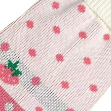Cat Sweater High Collar 2 Legged Warm Strawberry Pattern Stylish Cute Pet Knit