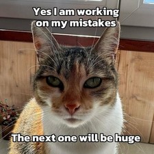 Funny Cat refrigerator magnet 3 1/2 x 3 1/2" Made in USA with domestic material