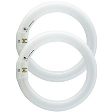 BULBMASTER FC8T9/CW 22W 8" Round T9 Fluorescent Circular Light Bulb, Cool White
