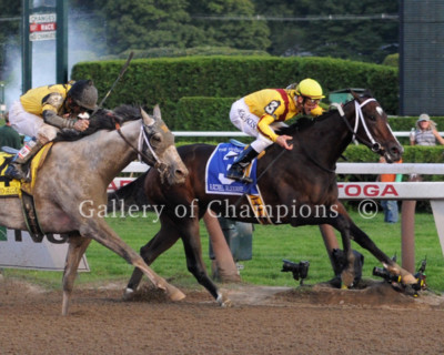 Rachel Alexandra 2009 Woodward Stakes Photo 8'' x 10 - 24'' x 30'' 