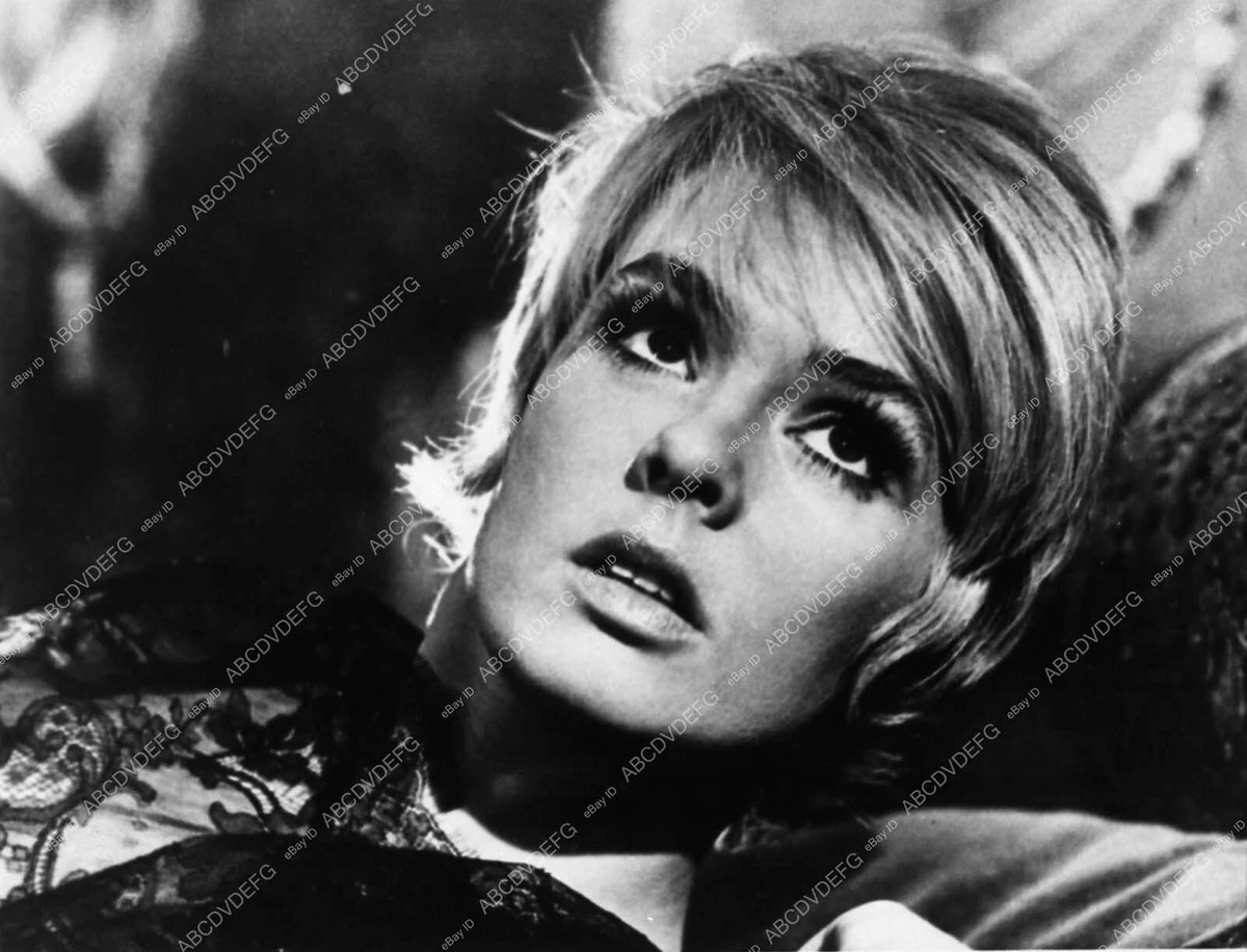 Joey Heatherton Bluebeard