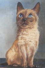 Peinture Huile Sur Toile Chat Cat 