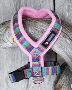 softest dog harness