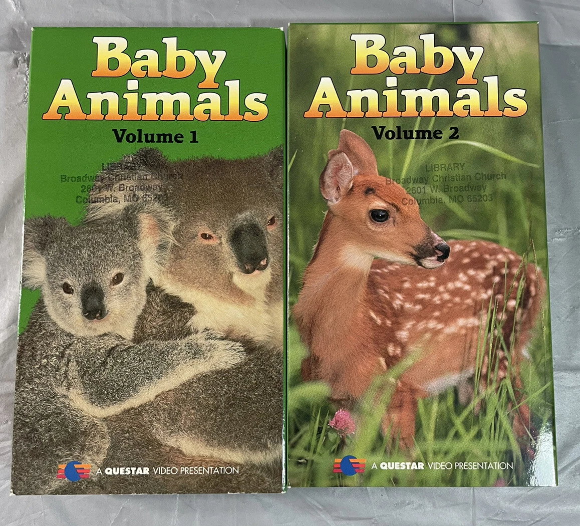 Discovery Channel Animals