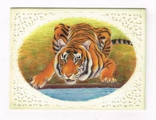 Hand Miniature Painting Of Tiger On Synthetic Plate Nature Art 4x3 Inches