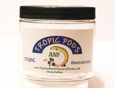 LIVE COMBO PACK : Tisbe Copepods  Pom Pom Macro  PhytoPreme. Feed coral Reef