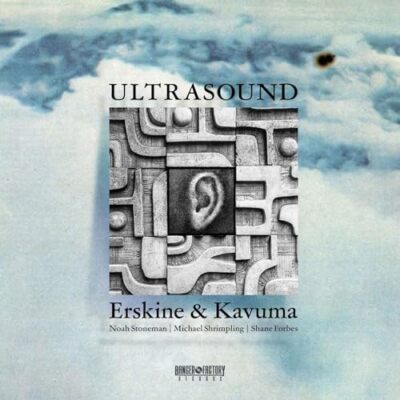 Theo Erskine & Mark Kavuma - Ultraschall [VINYL]