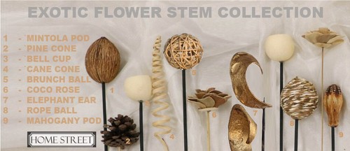 Hand Tied Bouquet of Exotic Wooden & Dried Flowers 12-18 Natural Floral Filler - Picture 11 of 26