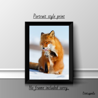 FOX FUN WILDLIFE A4 DRUCK POSTER BILD WANDKUNST HAUSDEKOR GESCHENK NEU