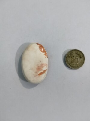 Scolecite Large Coins Scolecite Large Coins