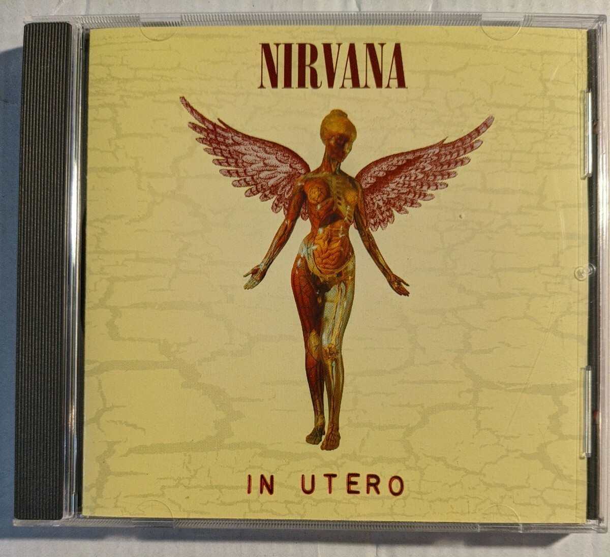 NIRVANA IN UTERO ピクチャー盤 LP メキシコ盤オリジナル NIRVANA IN UTERO ピクチャー盤 LP メキシコ盤オリジナル