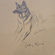 Alsatian Dog Drawing by Lucy Mac Dawson Art Print 1940's "Lady Olfina"