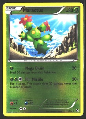 Black and White #11/114 Maractus (11) Reverse Holo