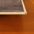Picture 14 of 21