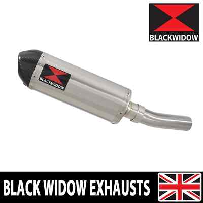 ZX10R ZX-10R E8F E9F FAF 2008-2010 Auspuff Endtopf Endtopf Oval 300ST