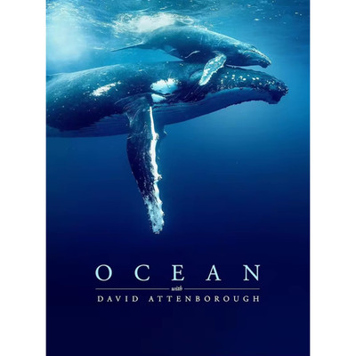 Ocean with David Attenborough (2025) Blu-ray Nature Documentary