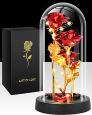 Valentines Day Rose Gifts for Her, Womens Gift for Birthday Gifts for Women Mom