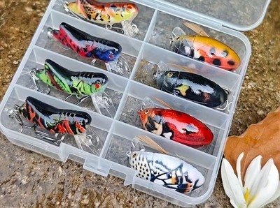   8tlg Lebensechtes Angelköder Set - 3D Käfer Hecht, Zander, Barsch, Süß-/Salzwasser