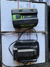 EGO Power+ BA2242T 56V 4.0Ah Battery And Charger- Black/Green