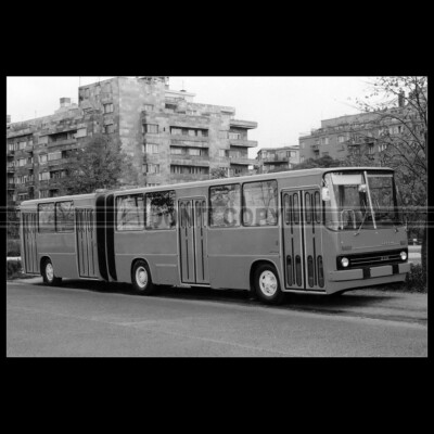 Photo A.025613 IKARUS 280 1971 BUS BUS